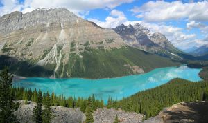 lago_Peyto